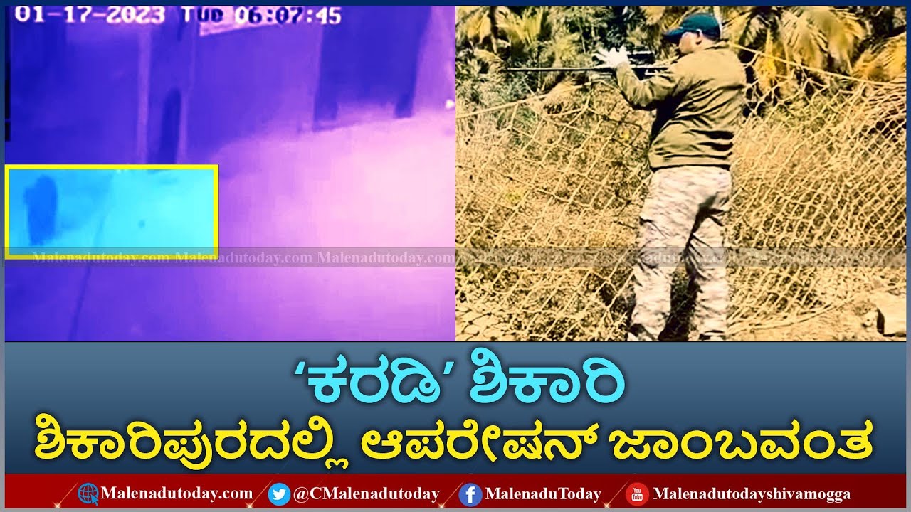 Shikaripura bear attack ಶಿಕಾರಿಪುರದಲ್ಲಿ ಕರಡಿ ದಾಳಿ ಸ್ವಲ್ಪದರಲ್ಲಿ ಅರಣ್ಯ