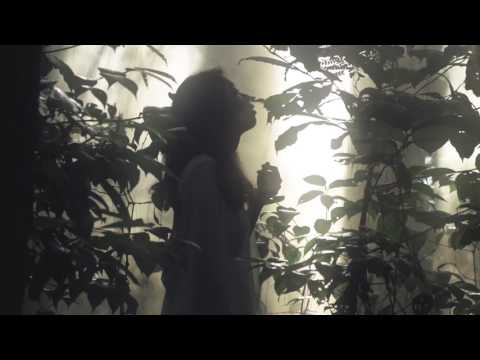 Puti Chitara - Snow in Summer (Official MV)