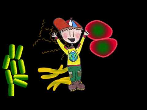 Meester Daan - Hoe verzorg ik mijn lichaam? (kort)