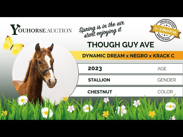 Though Guy Ave