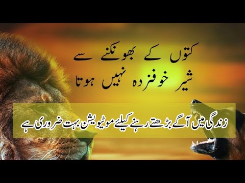 Golden Motivational quotes in urdu |Motivational urdu quotes about life sumbal says