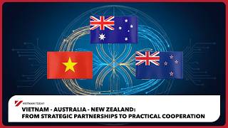 From strategic partnerships to practical cooperation | Vietnam Today