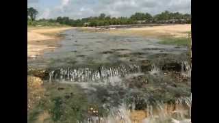 preview picture of video 'Managing Nursery Runoff to Remove Contaminants'