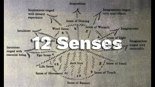 Download lagu Intro to the 12 Human Senses mp3