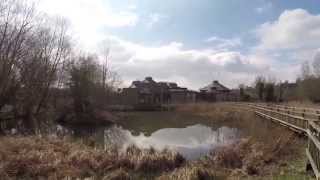 preview picture of video 'VLog: Visiting Wildfowl & Wetlands Trust (WWT) Arundel'