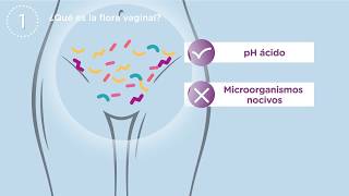 Probióticos para el cuidado de la flora íntima