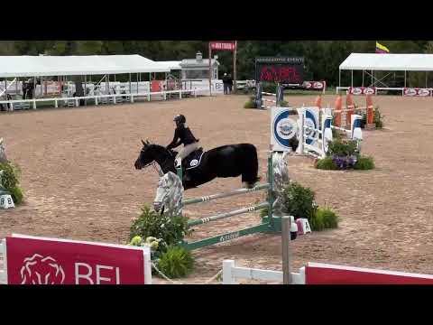 Olympic Air video 1