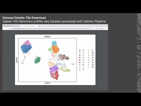 SST05-V: Visualization and Exploration of... - Nils Gehlenborg - Special Sessions - ISMB 2020