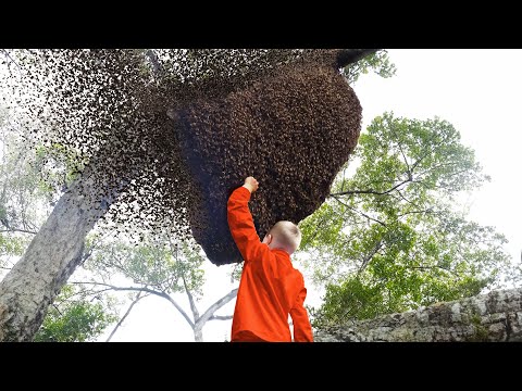 he grabbed a WASP NEST...
