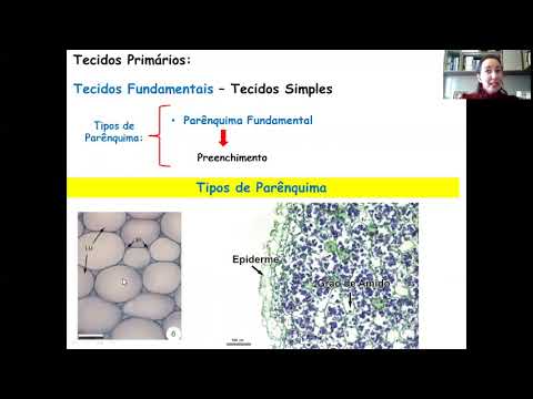 Resumo de Histologia Vegetal - teórico