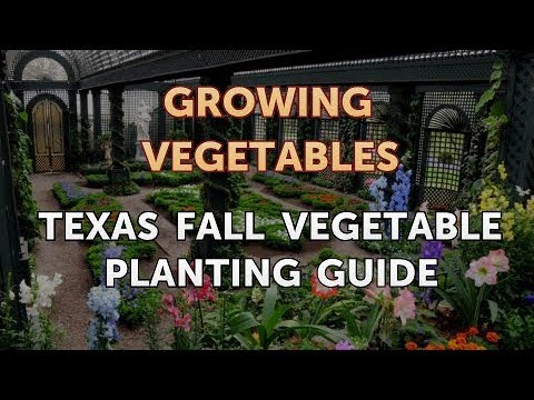 When to Pick Hungarian Hot Wax Peppers