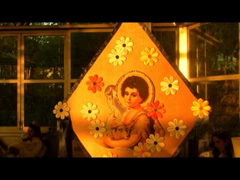 AQUI ESTOU DIZENDO - FLOR DE JAGUBE - SÃO JOÃO 2017