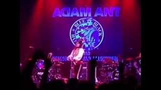 Whip in my Valise by Adam Ant