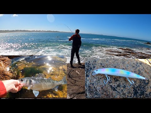 UK LURE FISHING FOR BASS IN BIG SURF TIPS/ TRICKS
