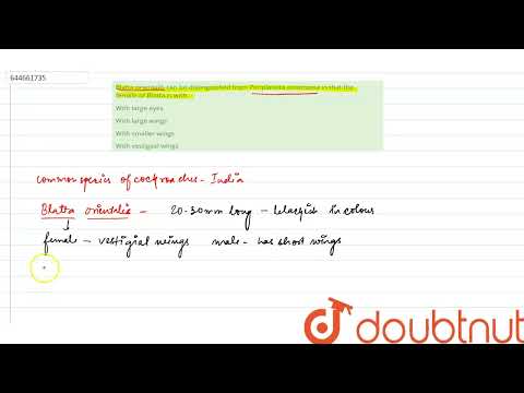 Blatta orientalis can be distinguished from Periplaneta americana in that the female of Blatta i...