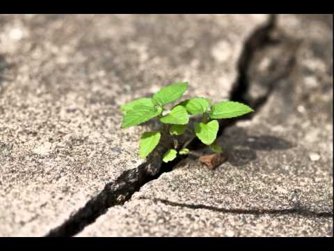 Echo feat. Mozole Mirach - Boşluk Ortasında (2005)