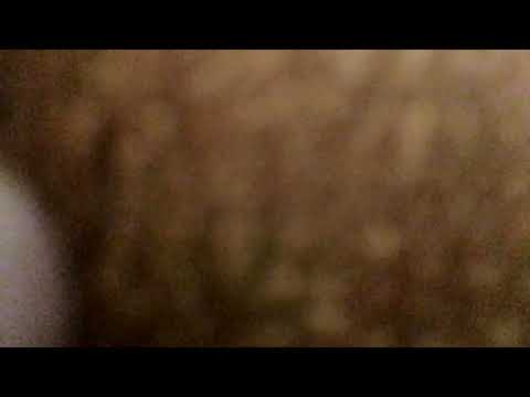 Claude Francois utilise' par l' ukraine dans un clip scandaleux