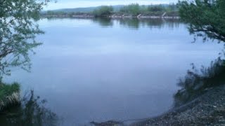 Базы отдыха на яузском водохранилище олеля