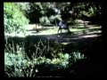 Joni Hänssler VHS Rip
