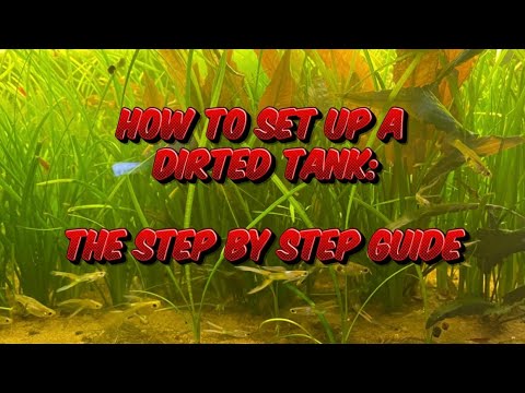 HOW TO SET UP A DIRTED TANK:  THE STEP BY STEP GUIDE