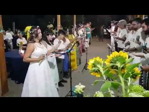 Do Sol Vos Nasce a Luz