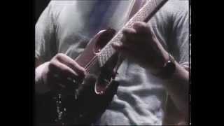 Mike Oldfield - Discovery (live solo part)