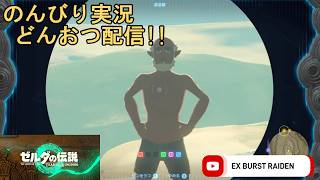 どんおつ配信「ゼルダの伝説 ティアーズオブザキングダム」18