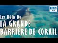 🐠 Les Défis De La Grande Barriere De Corail - Documentaire Science & Environnement - Arte (2022)