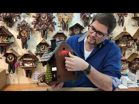 Cuckoo clock unpacking it right - how to hang it up and set the time