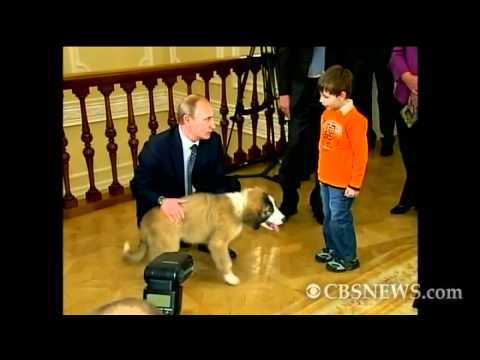 Russian Prime Minister's Puppy