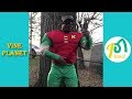 Best Haha Davis Big Fella Instagram Compilation Vine Planet