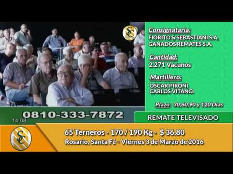 03-03-17 - Venta de Invernada - Remate Televisado Fiorito y Sebastiani - Ganados Remates