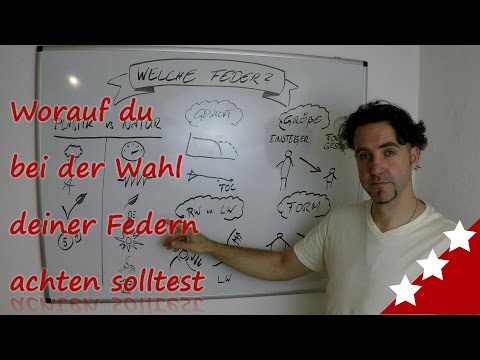 Bogenblog basics: worauf du bei der Wahl deiner Federn achten solltest