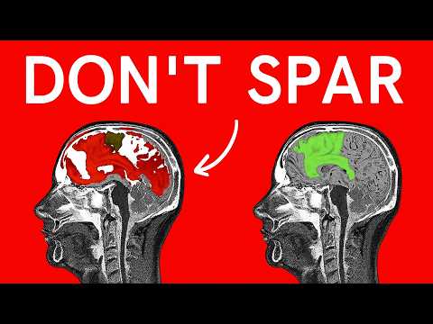 Why Sparring Is A LIE