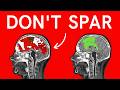 Why Sparring Is A LIE