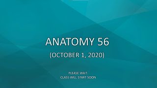 Anatomy 56 (October 1, 2020)