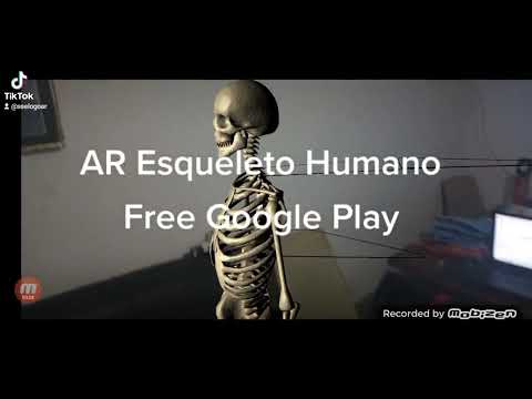 Esqueleto Humano AR