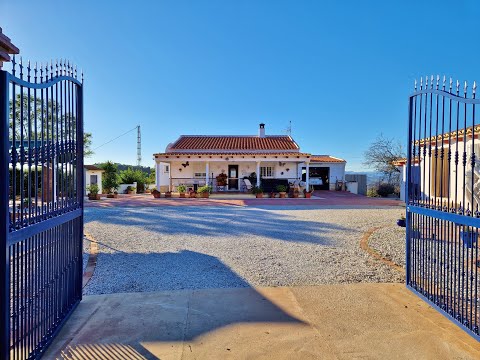 AX1200  Los Navas, Canillas de Aceituno