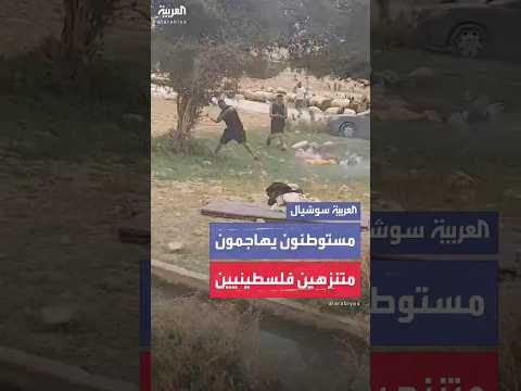 فيديو | مستوطنون يهاجمون بالحجارة فلسطينيين خرجوا للتنزه في عطلة العيد شمال أريحا
