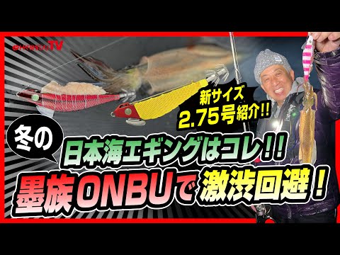 【墨族】冬の日本海エギングはコレ！！墨族ONBUで激渋回避！！