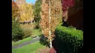 Oswego Grill ~ Outdoor dining in October 2013!!!