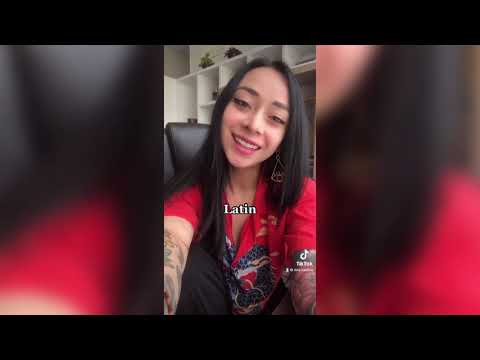 POLYGLOT CHECK - 6 languages