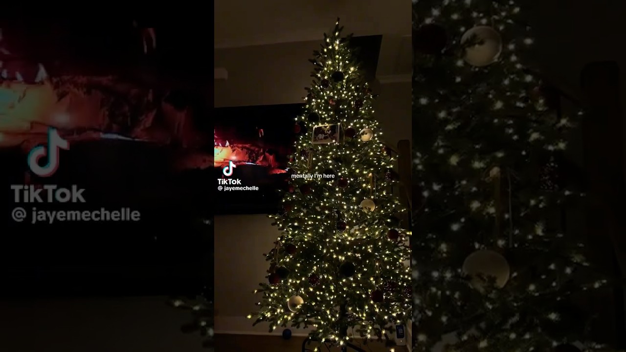 It’s mentally still Christmas for us!! 🎄| WEEKLY SHORT #190 {#shorts #christmas #xmas}⁠