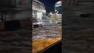 Download lagu MENERJANG BANJIR DI MALAM HARI | HALU STORY #shorts  #storyhalu #storyig #storywa mp3 Download lagu MENERJANG BANJIR DI MALAM HARI | HALU STORY #shorts  #storyhalu #storyig #storywa mp3