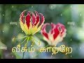 Veesum Kaatre Thuthu Sellu Tamil Eelam Song