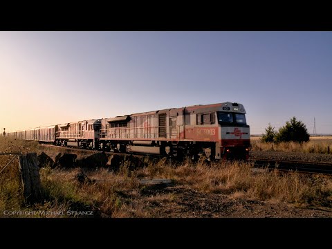 4PM9 SCT Freight Train With Boxcars, Containers & BlueScope Steel Wagons  (19/2/2022) - PoathTV