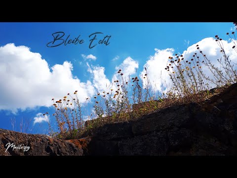 Masterfog - BLEIBE ECHT (Offizielles FULL HD-Musikvideo)