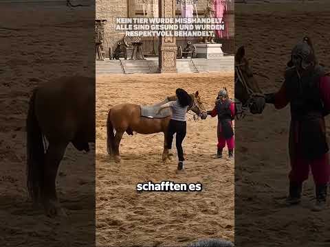 Ist Es Wirklich Schwer ?