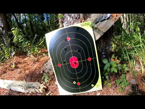 Benelli Super Black Eagle 3 Buckshot Pattern Testing