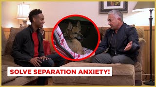 Solving Separation Anxiety | Dog Nation